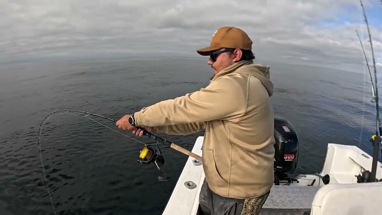A halibut story with a happy ending