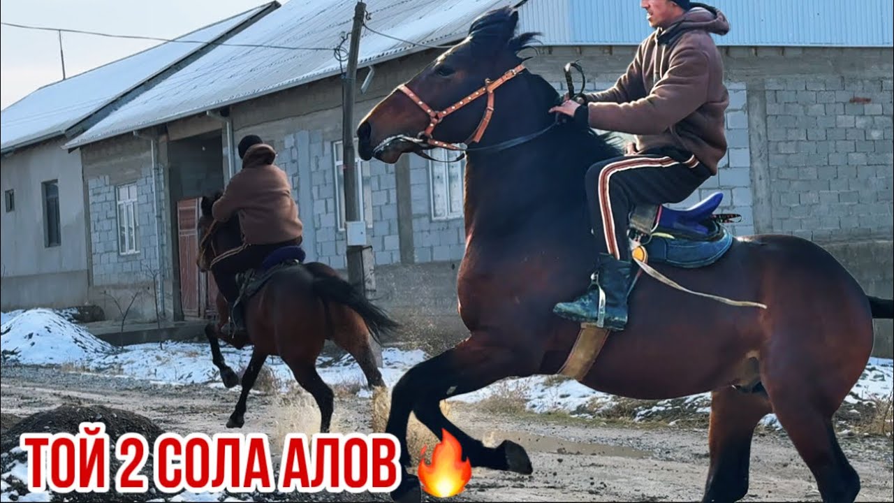 Той Кара байир тарбия 100 фоиз 30 января 2026 г.