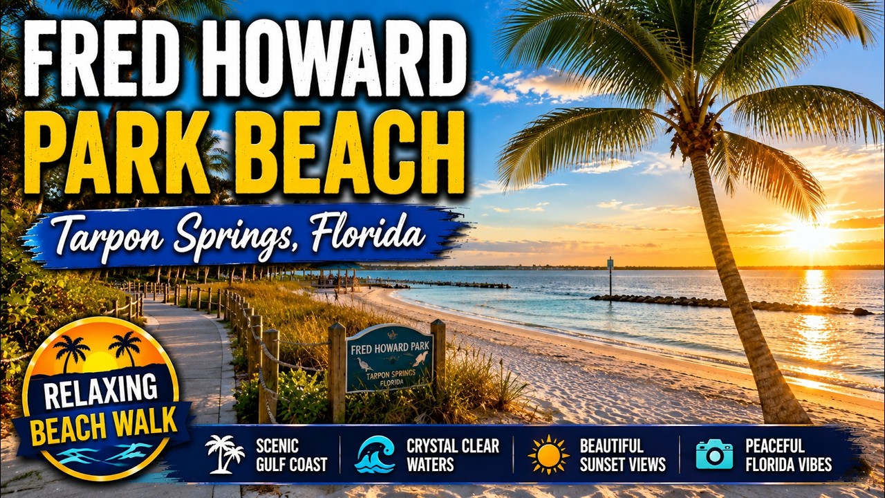 Fred Howard Park Beach - Tarpon Springs, Florida | Walkthrough