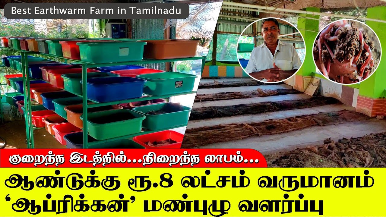 ஆண்டுக்கு ரூ.8 லட்சம் மேல் வருமானம் தரும் 'ஆப்ரிக்கன்' மண்புழு வளர்ப்பு | Best Earthwarm Farm
