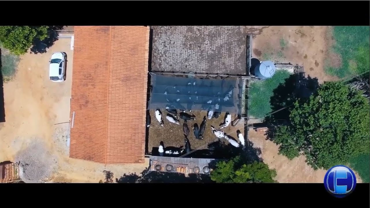 HOJE RURAL. Tratando o dejeto dos bovinos, transformando em esterqueira e biofertilizante poderoso.