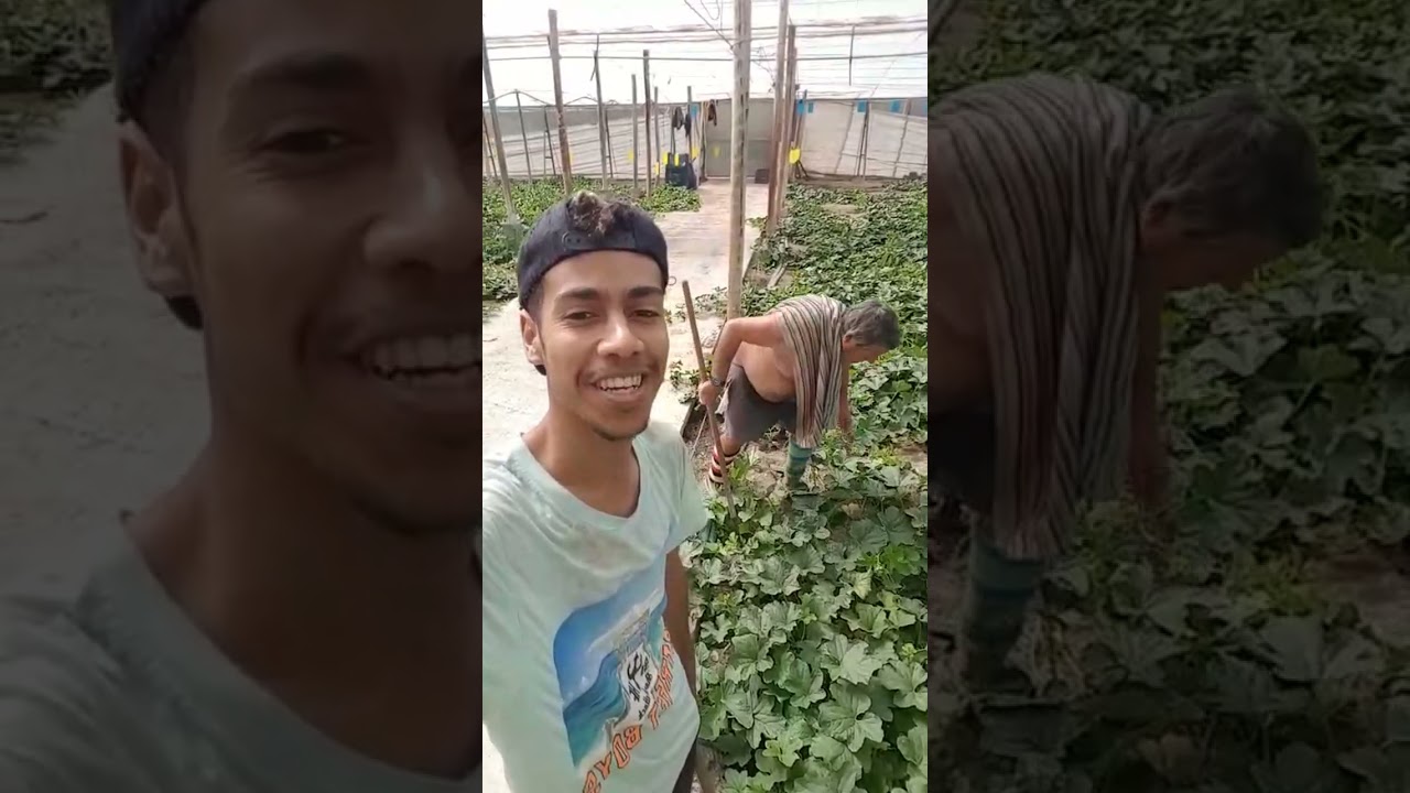 شكون مطايح بيل فيلاحة إسبانيا