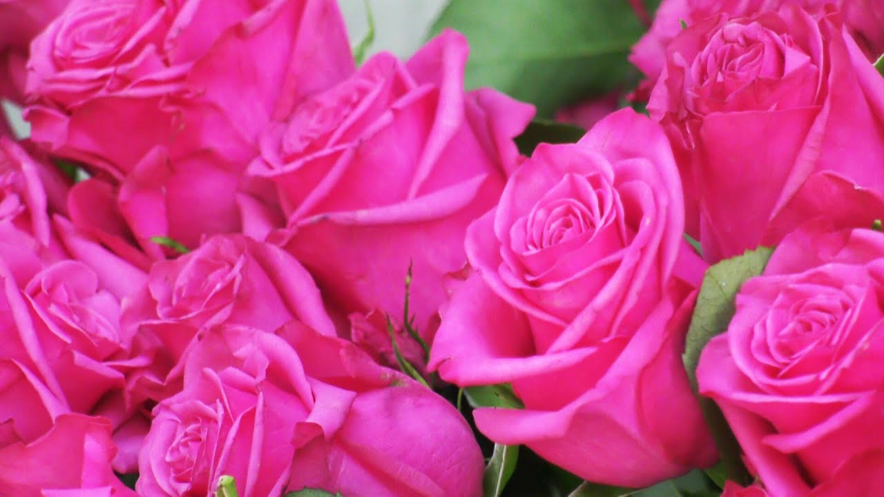 CAP-Markt am Killesberg