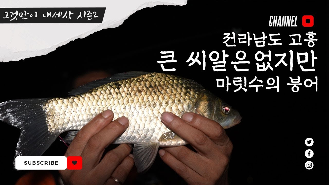 FTV 그것만이 내세상 시즌2 - 전라남도 고흥 중대형 저수지에서의 마릿수 손맛!