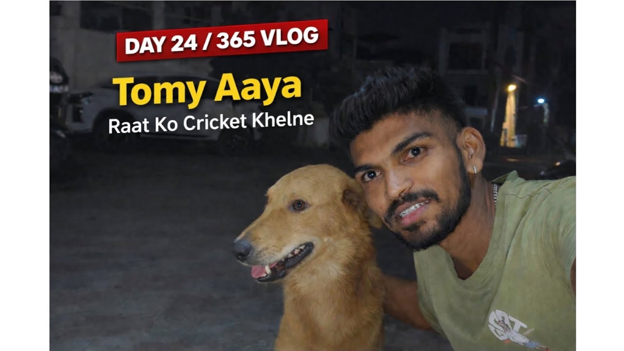 Tommy Aaya Raat Ko Cricket Khelne 🐕🏏 | Day 24 / 365 Vlog
