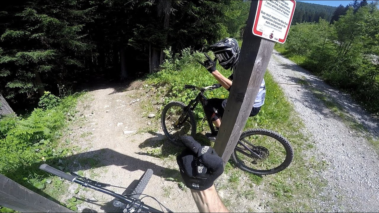 Val di Sole 2022 - Wild Grizzly