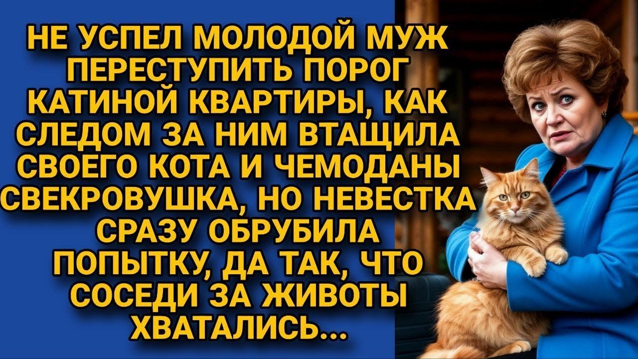 Сразу после свадьбы сына свекровь припёрлась с вещами и котом, но невестка...