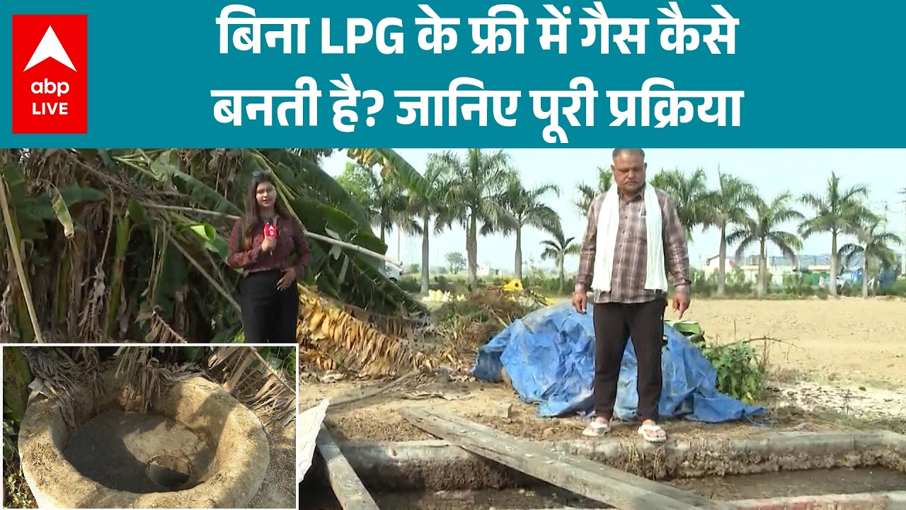 LPG Crisis: जानिए कैसे घर और खेत के कचरे से रसोई गैस बनती है? |ABPLIVE