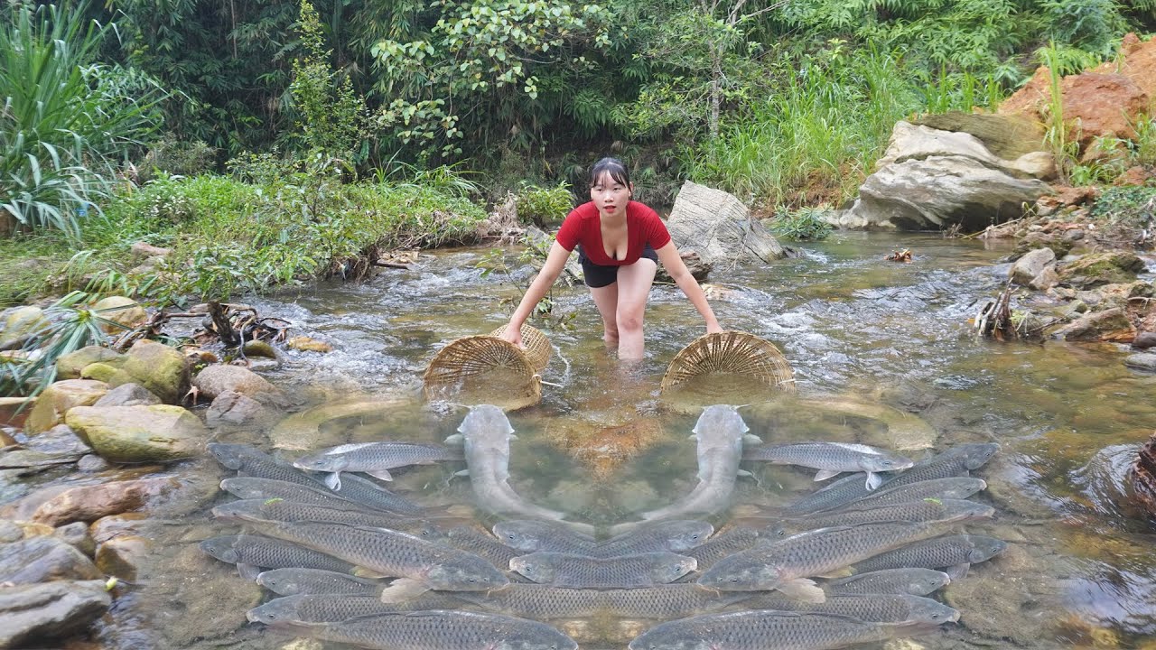 How To Weave Fish Traps - Set Fish Traps To Catch Lots Of Fish To Sell. Hoang Thu Hoai