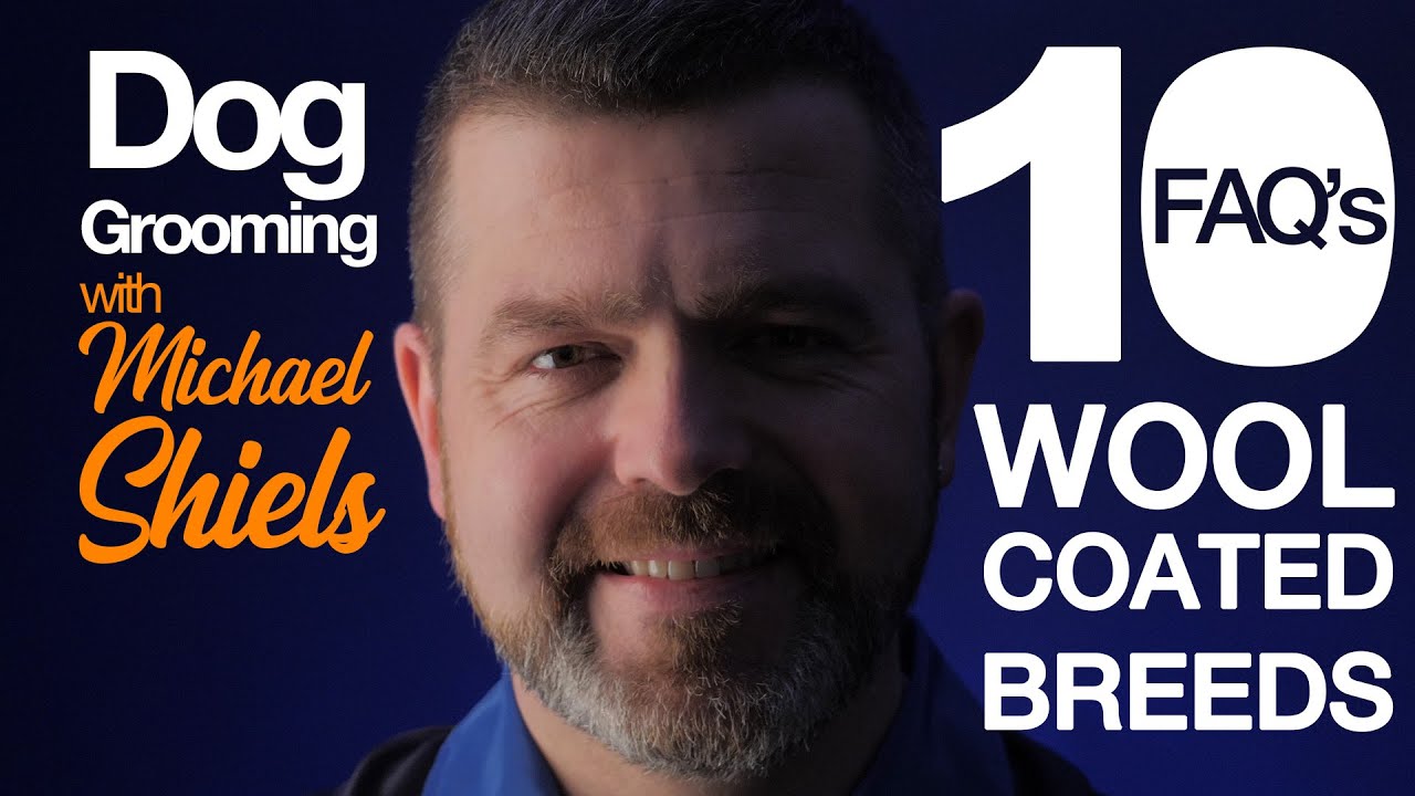 10 FAQ&rsquo;s - Wool Coated Breeds - Dog Grooming with Michael Shiels