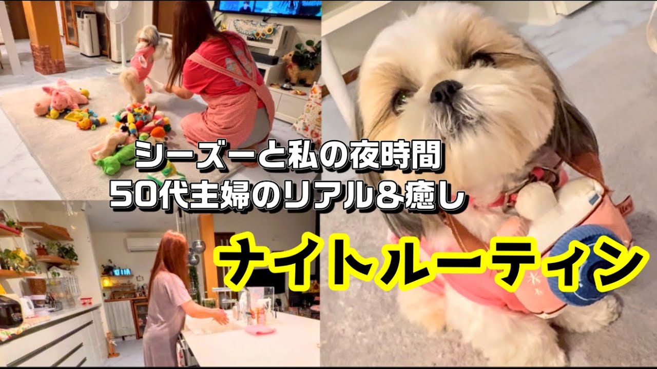 【シーズー】シーズーと私の夜時間♡50代主婦のリアル＆癒し【ナイトルーティン】