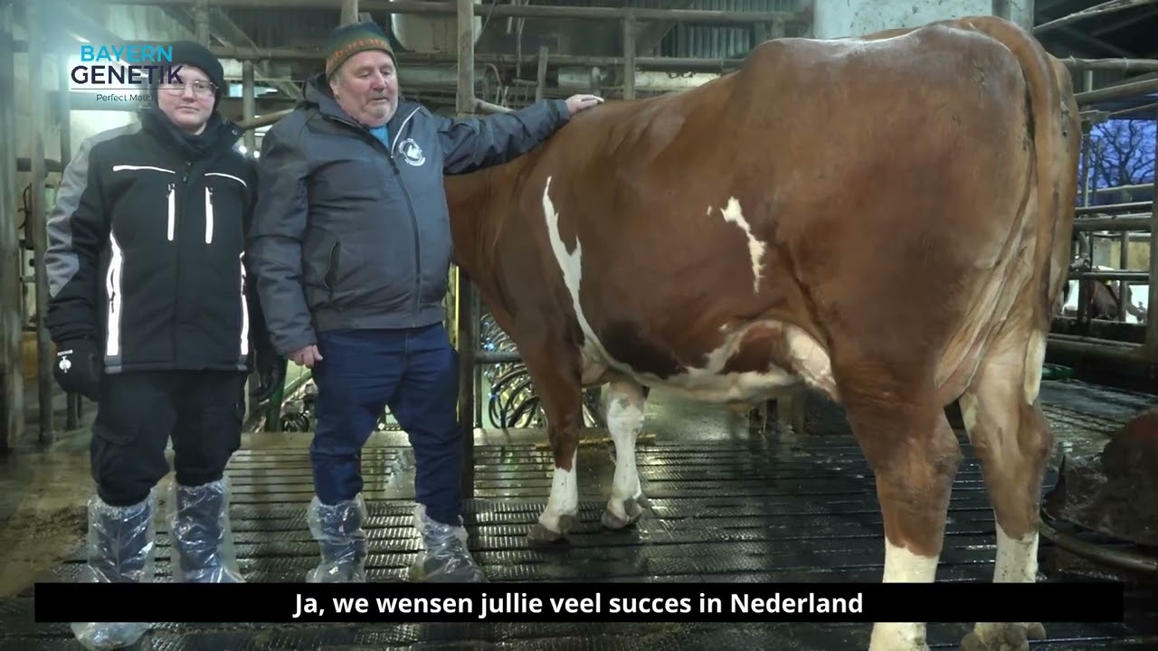 Kraus op Hollandtour