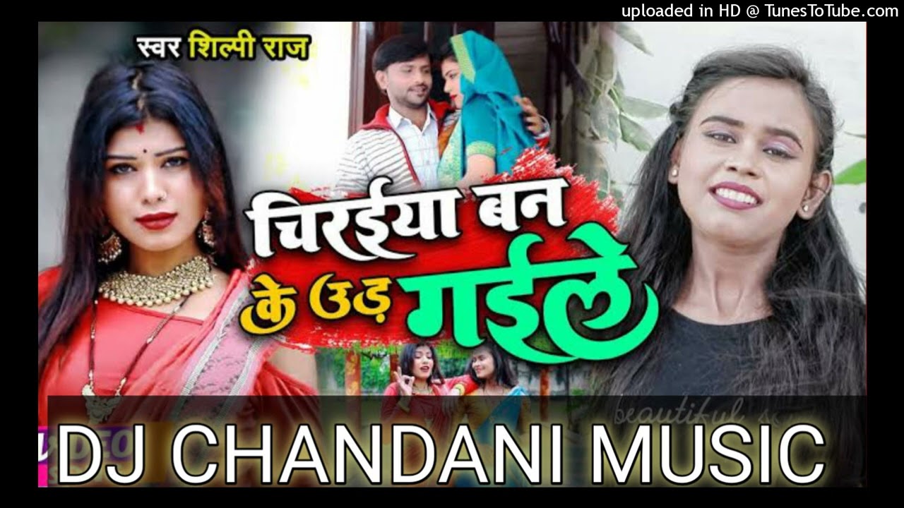@@DJ CHANDANI MUSIC FADDU RIMIX #Chiraiya#ban#ke#udh#gaile#silpi#raaj#Pawan#dj#chakidi#Azamgarh%%%%%