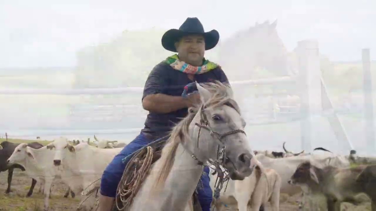 Aquí se murió un llanero ( Fernando Martínez)