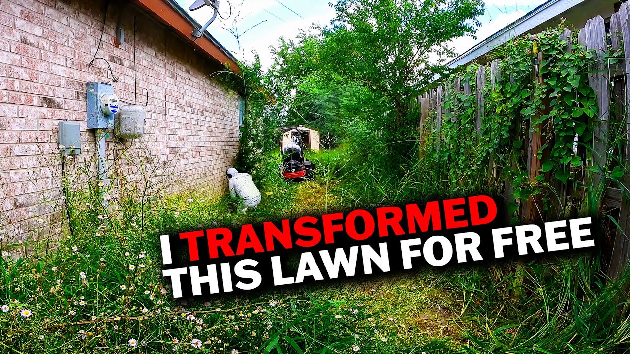Cleaning Up a VETERAN'S OVERGROWN LAWN For FREE | 26 Minute of a Truly SATISFYING Lawn Restoration🌿