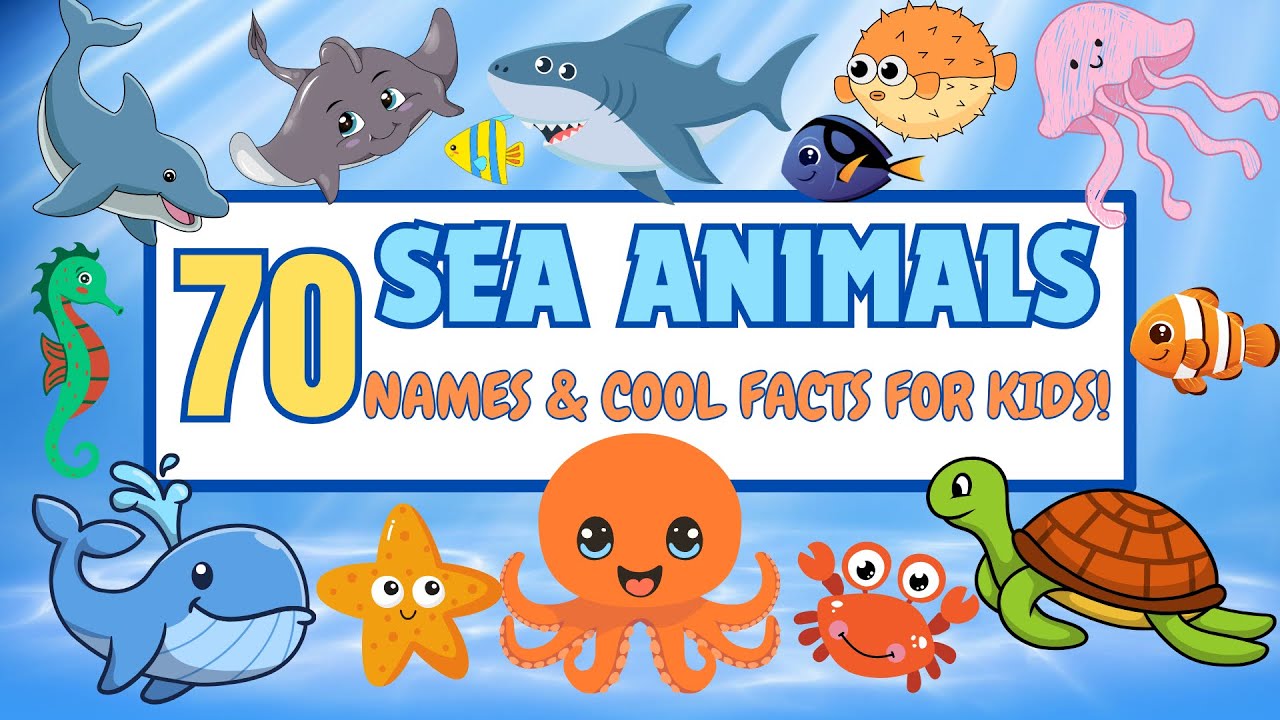 70 Amazing Sea Creatures and Their Fun Facts! 🐙🦀 Learn with Us! Education Video for Kids