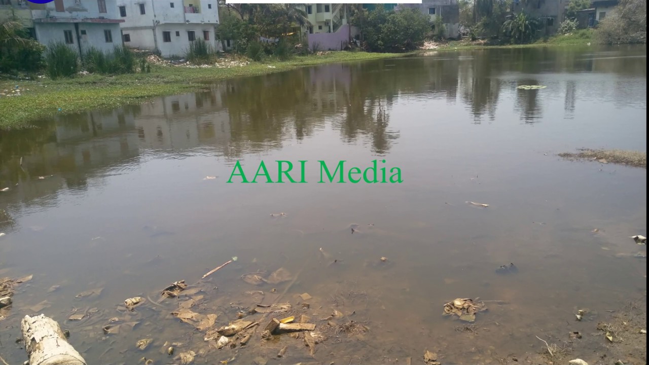 Madipakkam Eswaran temple pond view 2016 and 2019 after restoration | Save water save world