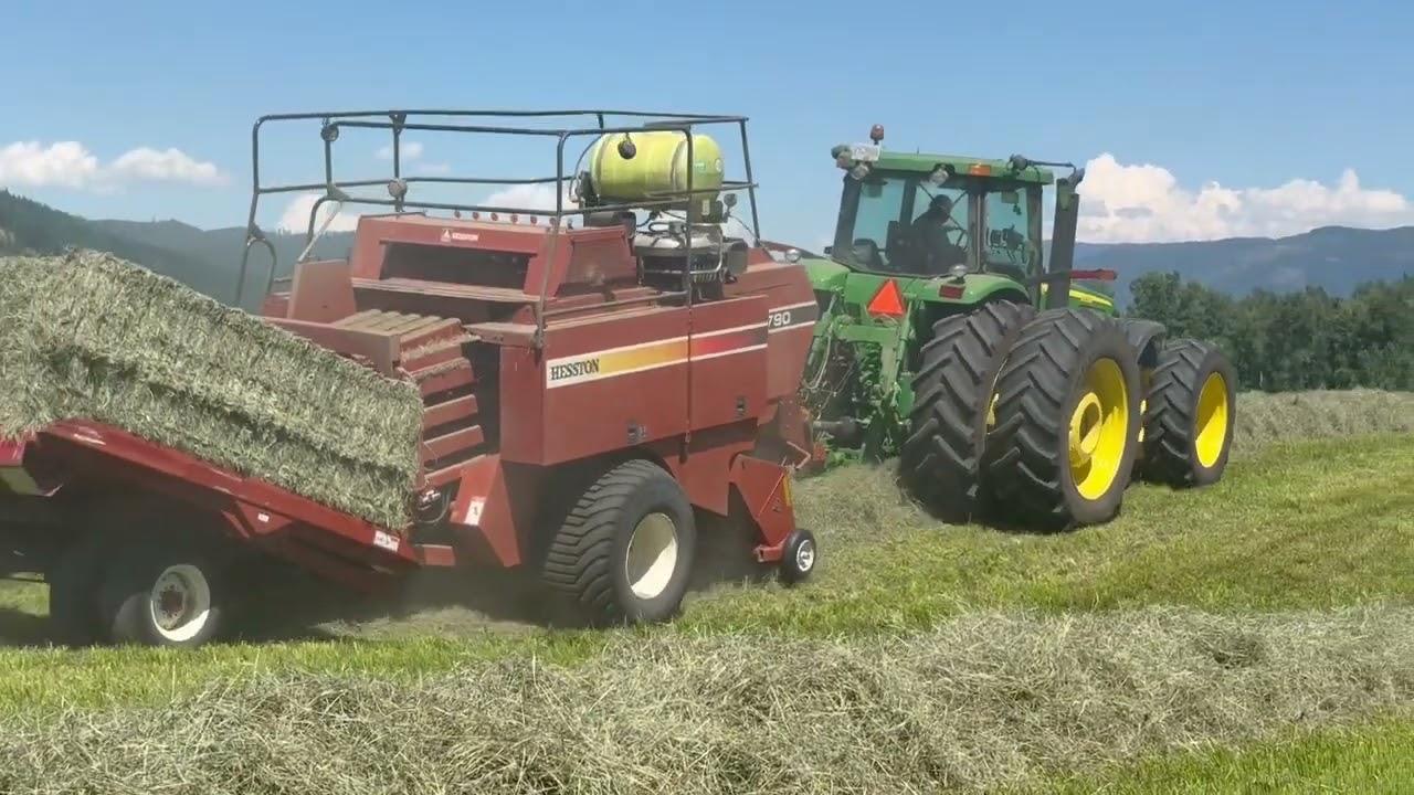 🚜 2nd Cut Hay Orchard Grass Horse Hay !! Fabulous Crop !!