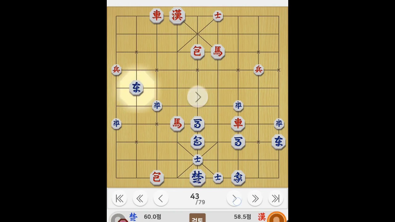 ばか VS ばか (将棋)