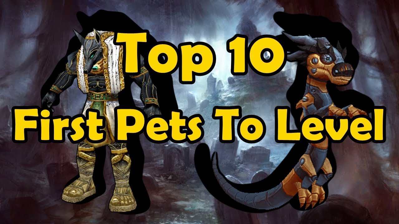 Top 10 First Pets To Level For New Pet Battlers - Legion Version