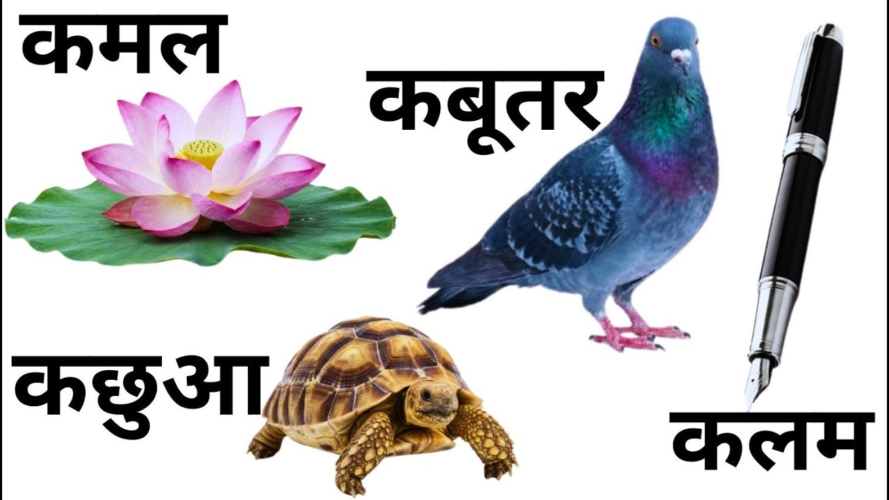 क से शुरु होने वाले शब्द | hindi vowels words with pictures | क ka words | ka se kalam | ka se kamal
