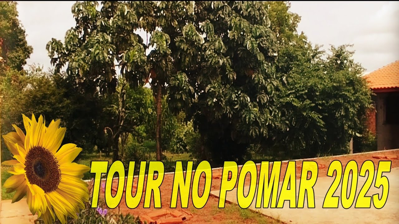 👉 TOUR PELO POMAR DO SÍTIO/ ANO 2025 - Frutas Nativas e Exóticas 🌳🍒🥑🍋🥭