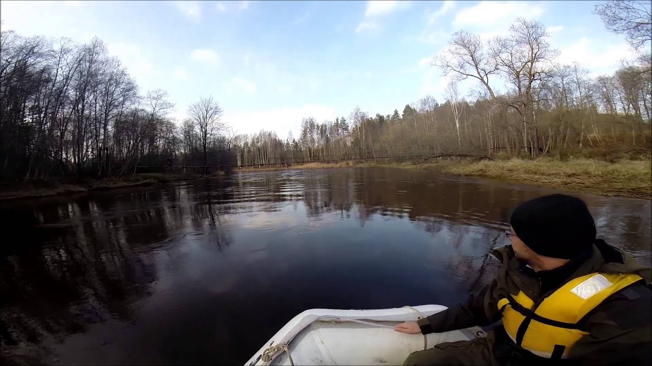 DAP Valsts vides inspektoru pārbaude AAA 