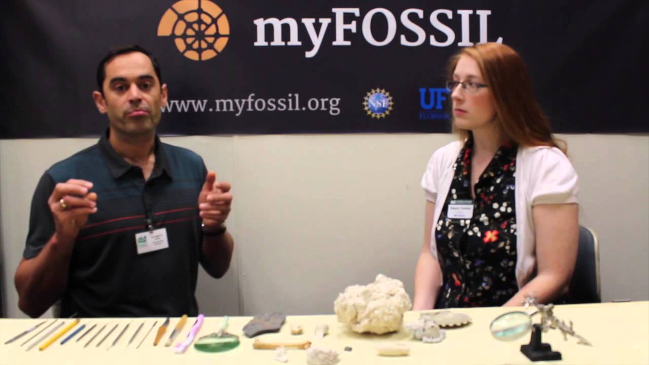 Basic Fossil Cleaning