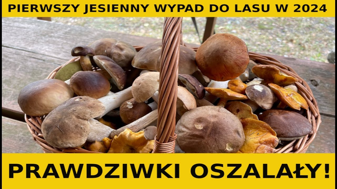 PRAWDZIWKI OSZALAŁY