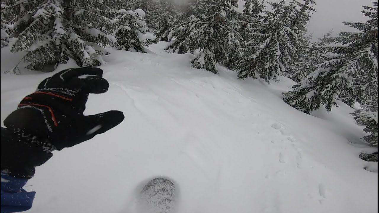 Powder Tree Snowboarding in Czech