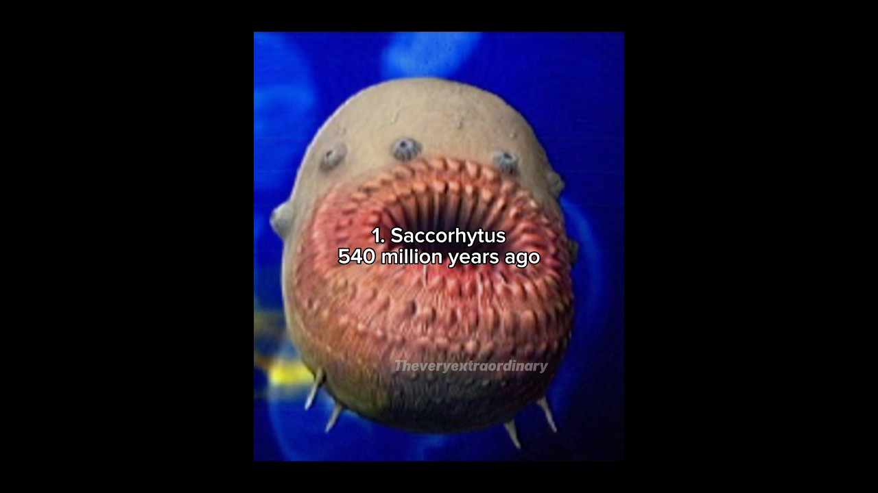 These bizarre creatures actually once lived on Earth #prehistoric #extinct