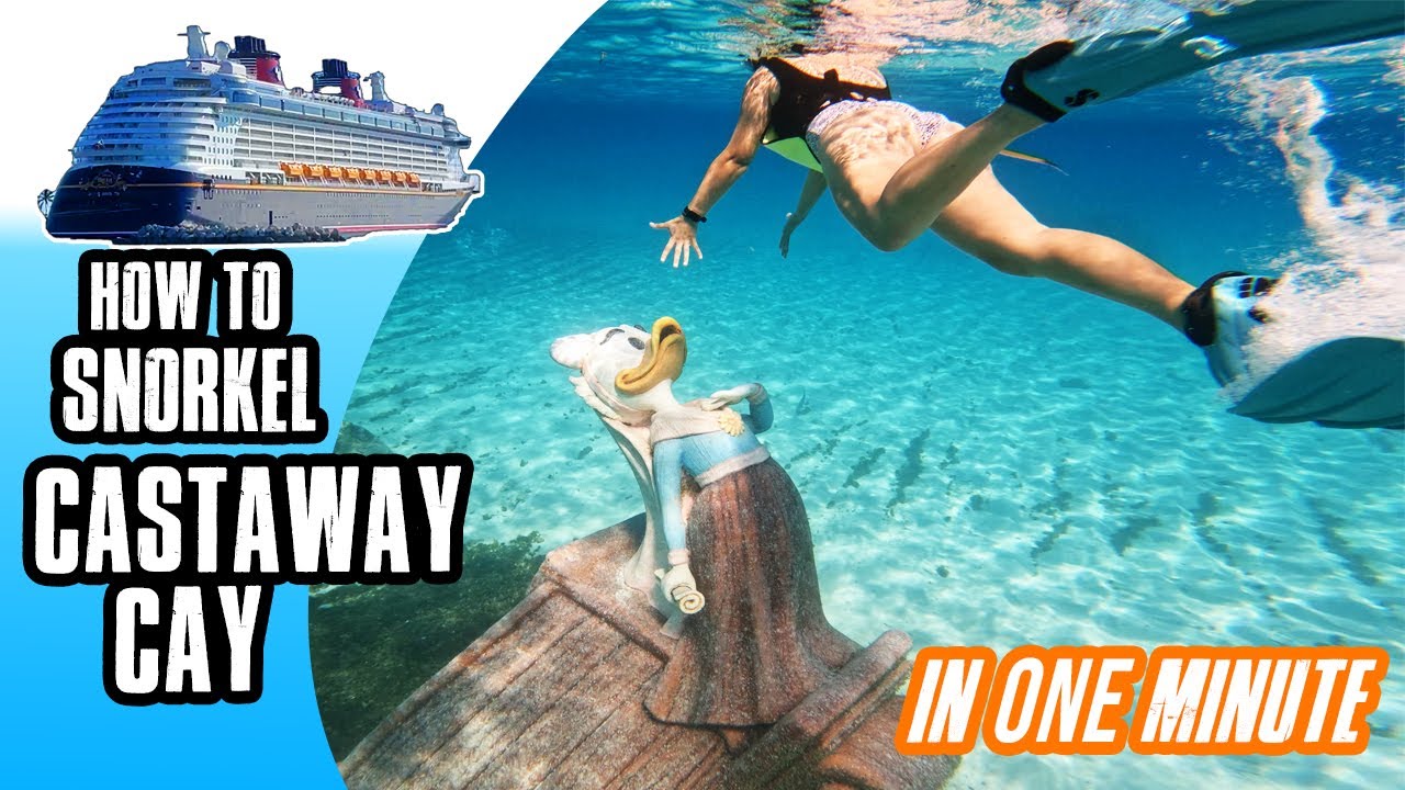 How to snorkel on Castaway Cay | Disney Cruise Lines’ private island in the Bahamas | 1 minute video
