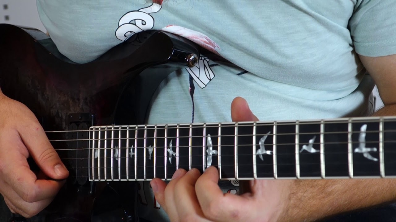 Guillaume D. - Always with Me, Always with You (Joe Satriani Cover)