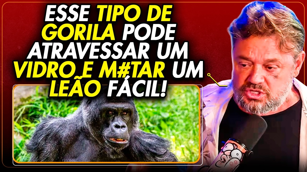 O MITO DE 100 HOMENS VS 1 GORILA! RICHARD RASMUSSEN EXPLICA O QUE NINGUÉM NUNCA FALOU