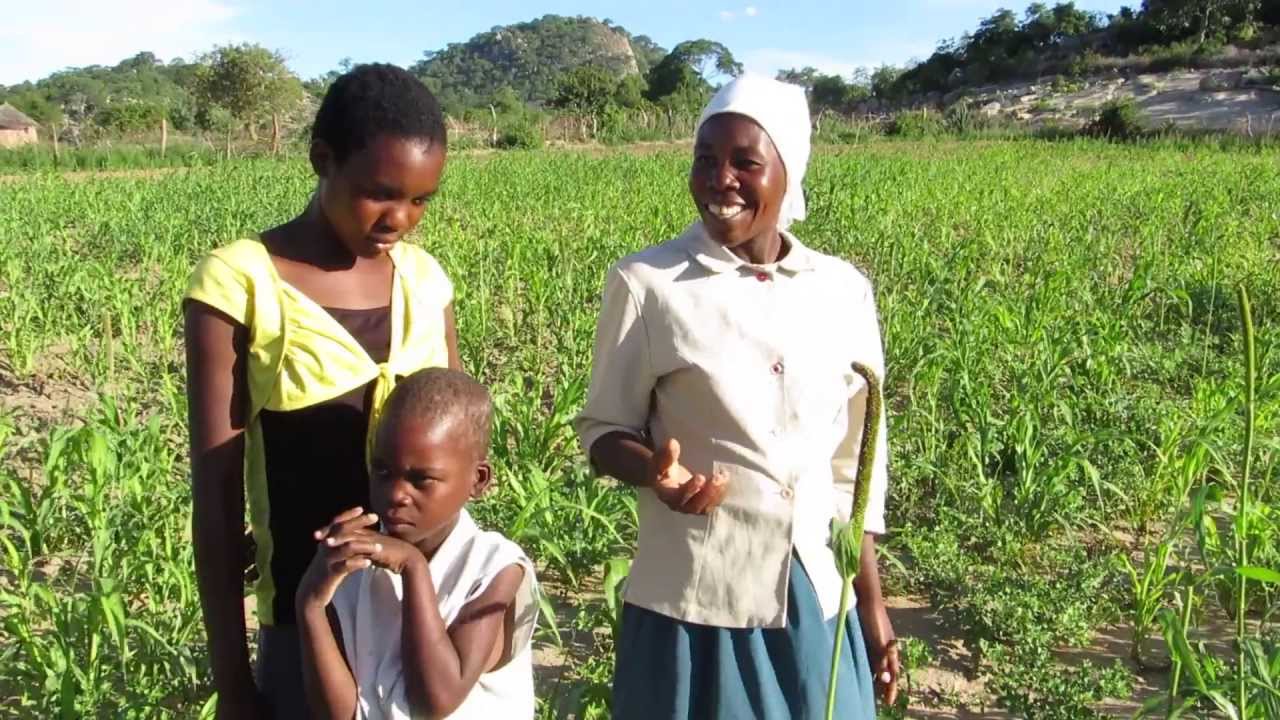 Mai Hove in Field of Millet