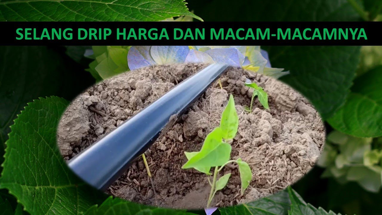 Harga dan info Tentang Selang Drip