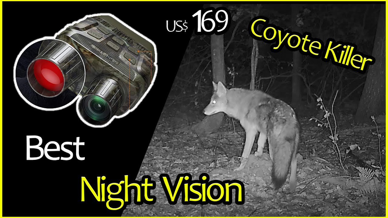 Best Night Vision for Total Darkness - Review 2023