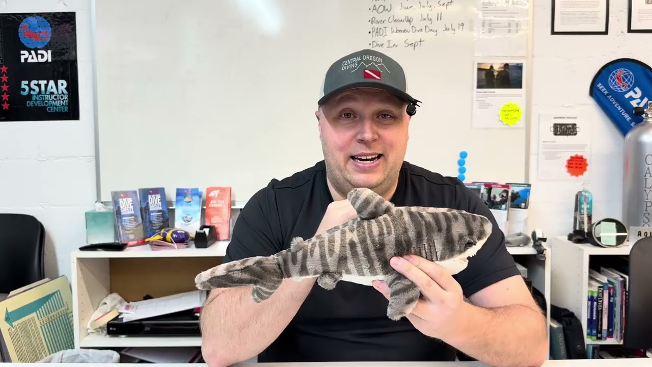 Fish (Sea Creature) - Fact Friday Tiger Shark