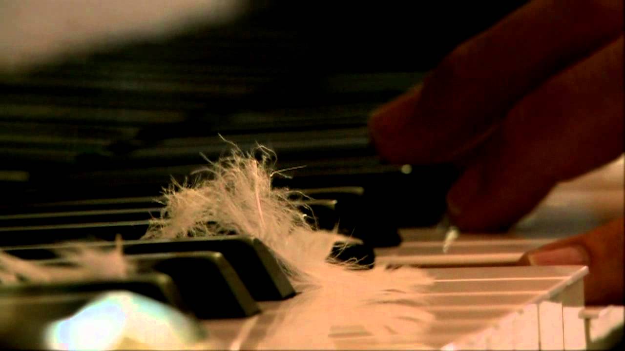 SANDRO GIACOBBE - SEI MUSICA - video Ufficiale