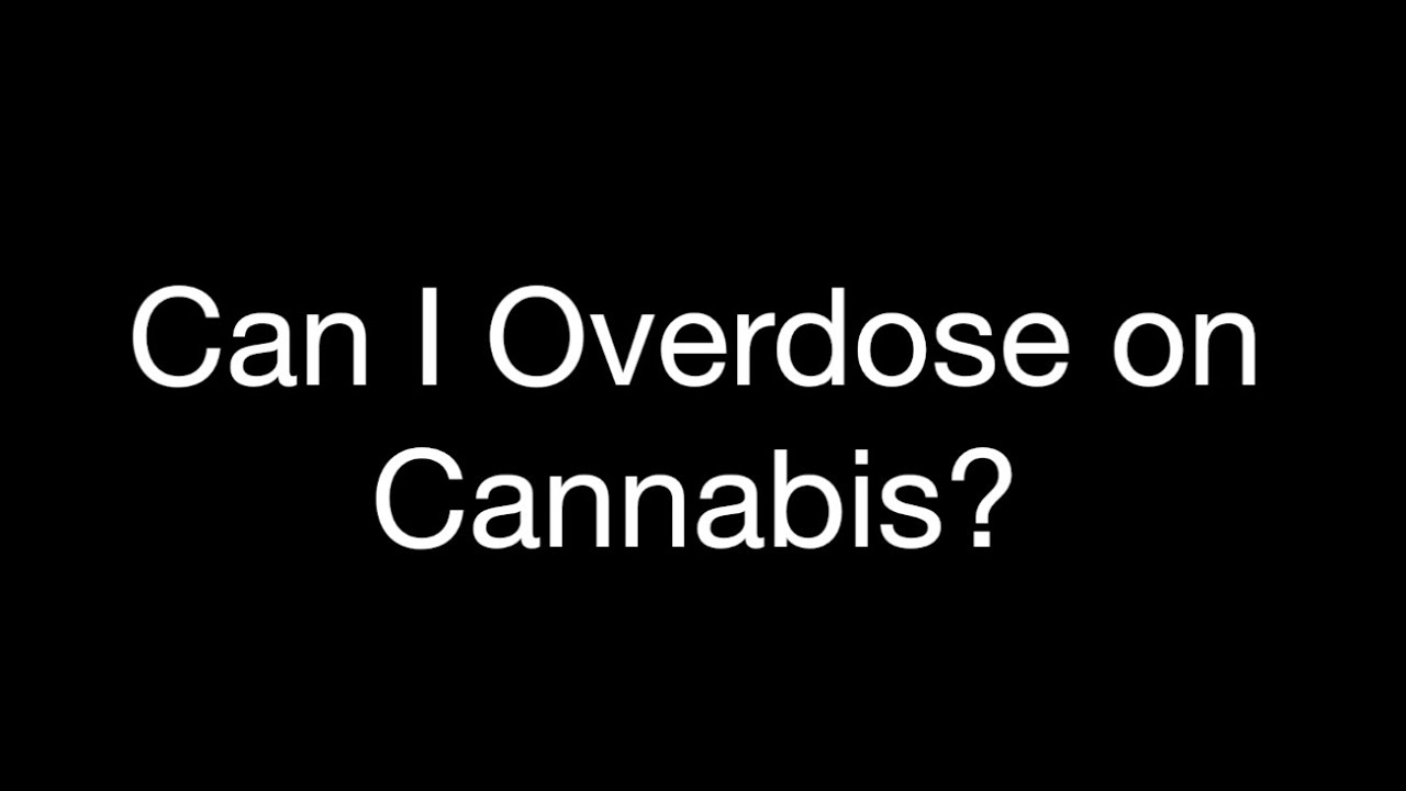 Can I Overdose On Cannabis?