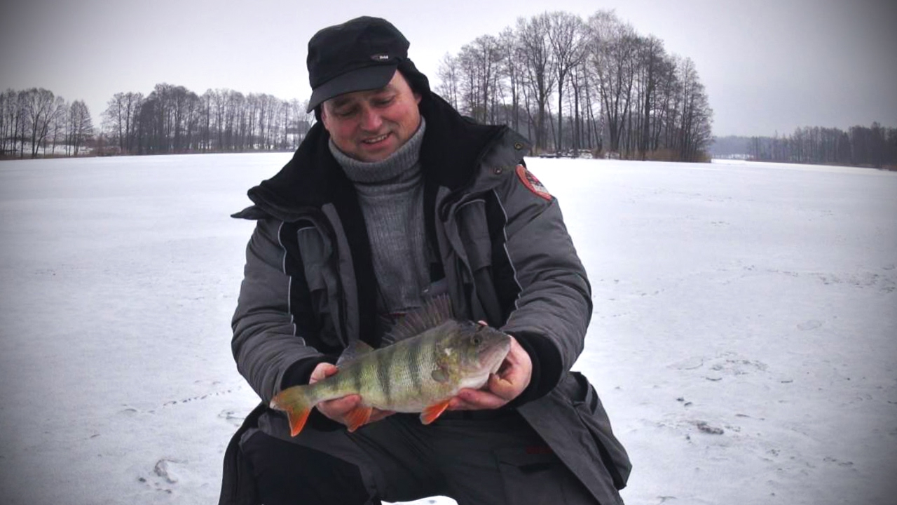 Apie žūklę 2017 02 04. Viduržiemio ešeriai.