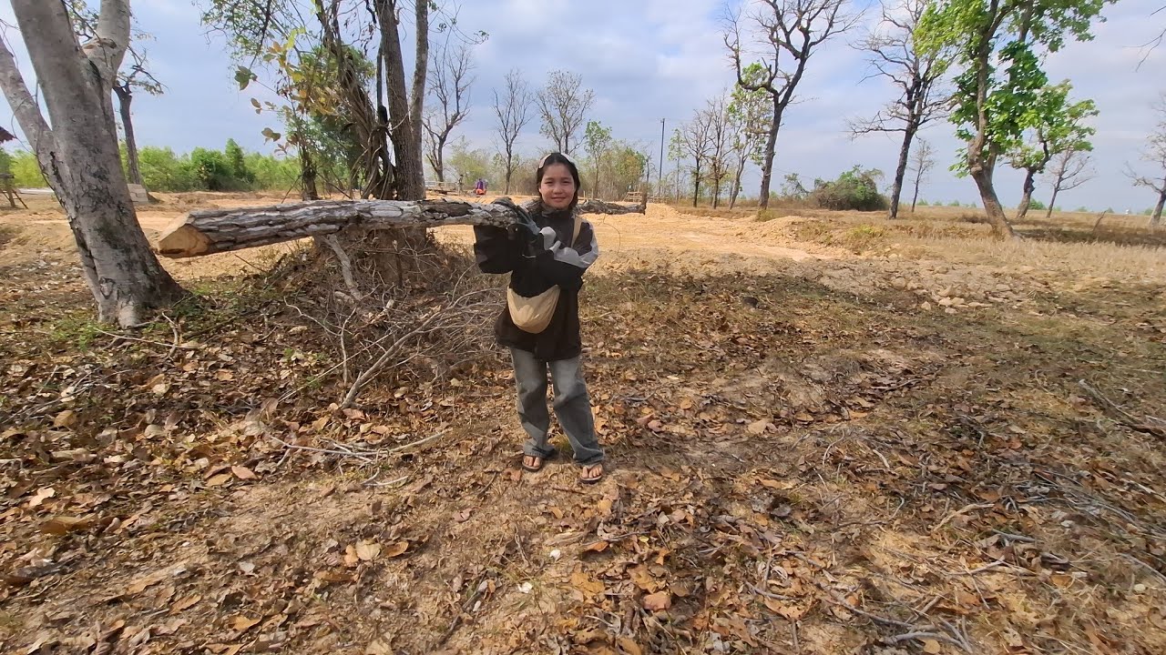 น้องน้อยเตรียมไม้เพื่อยกบ้านพรุ่งนี้12 มีนาคม ค.ศ. 2026