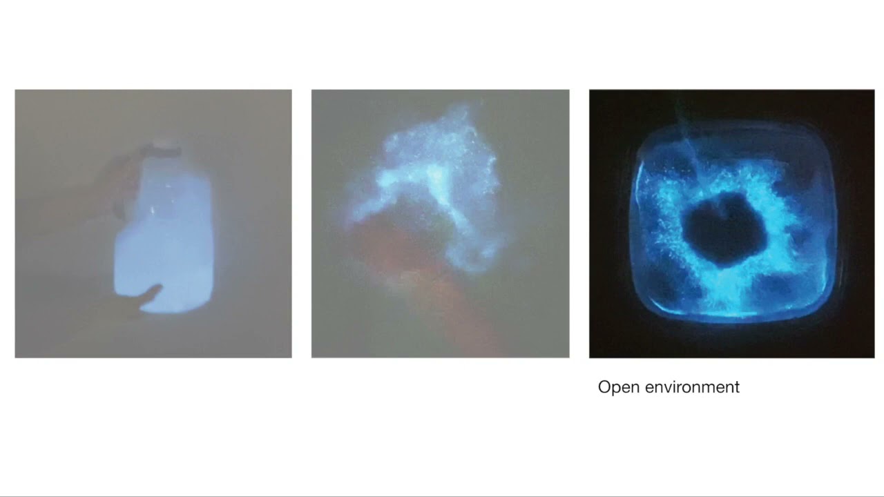 Designing Direct Interactions with Bioluminescent Algae