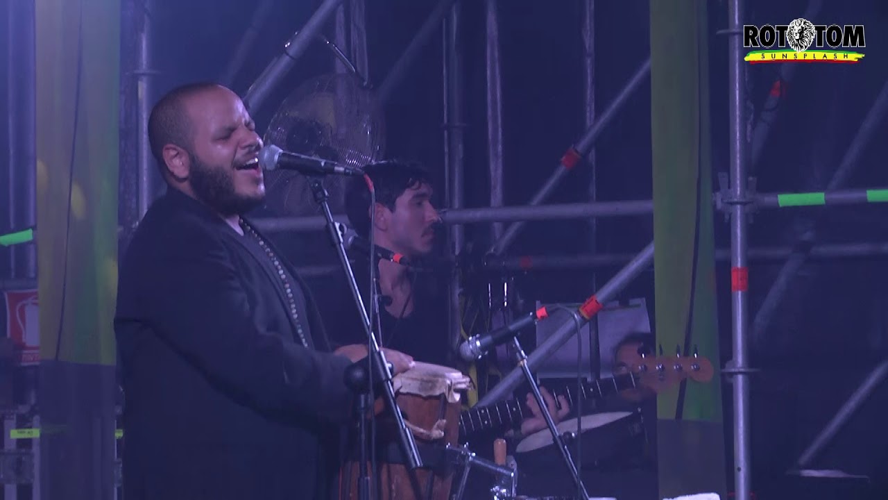 INTERNATIONAL DUB AMBASSADORS live @ Lion Stage 2019