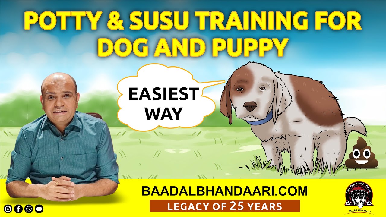 How to Potty & Susu (Pee) Training Puppy or Adult Dog at Home | Indoor or Outdoor | Baadal Bhandaari