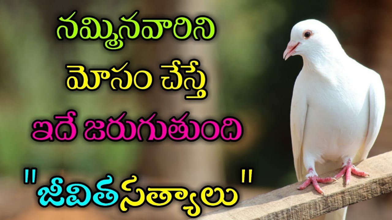 జీవిత సత్యాలు #313 |మంచి మాటలు|Inspirational quotes|Motivational quotes|సూక్తులు|Telugu quotes