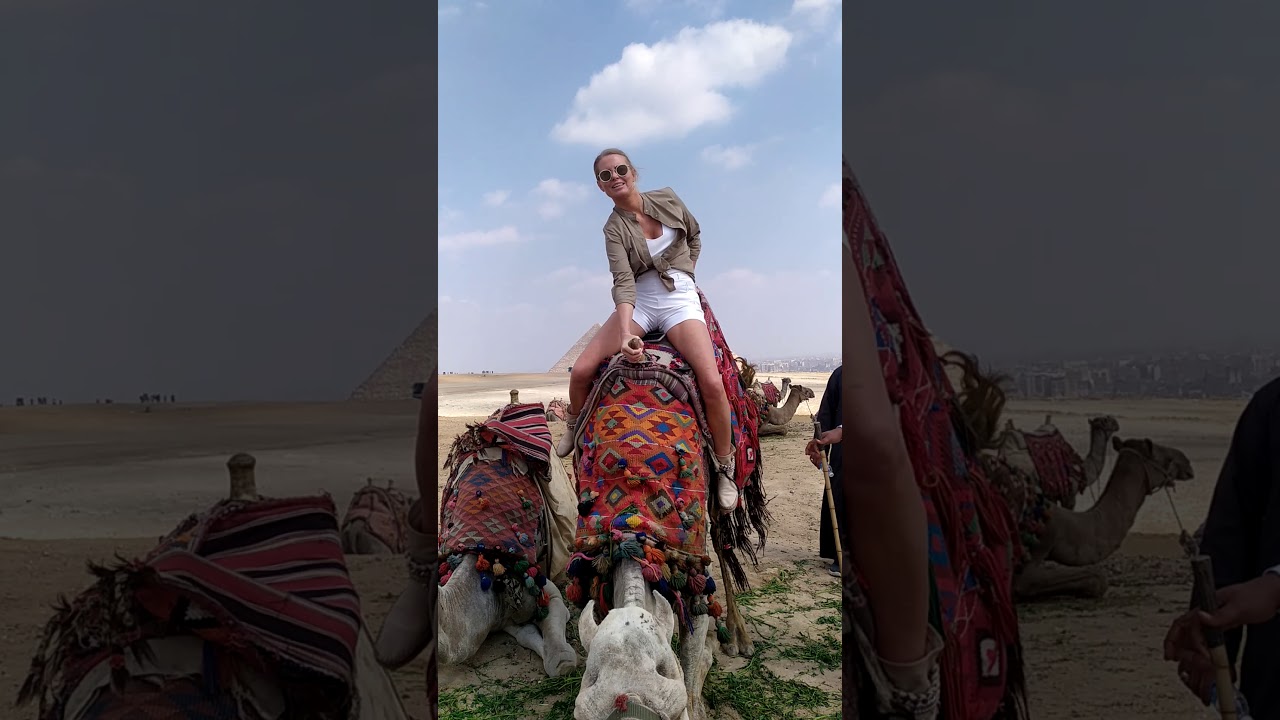 camel riding trip egypt 
