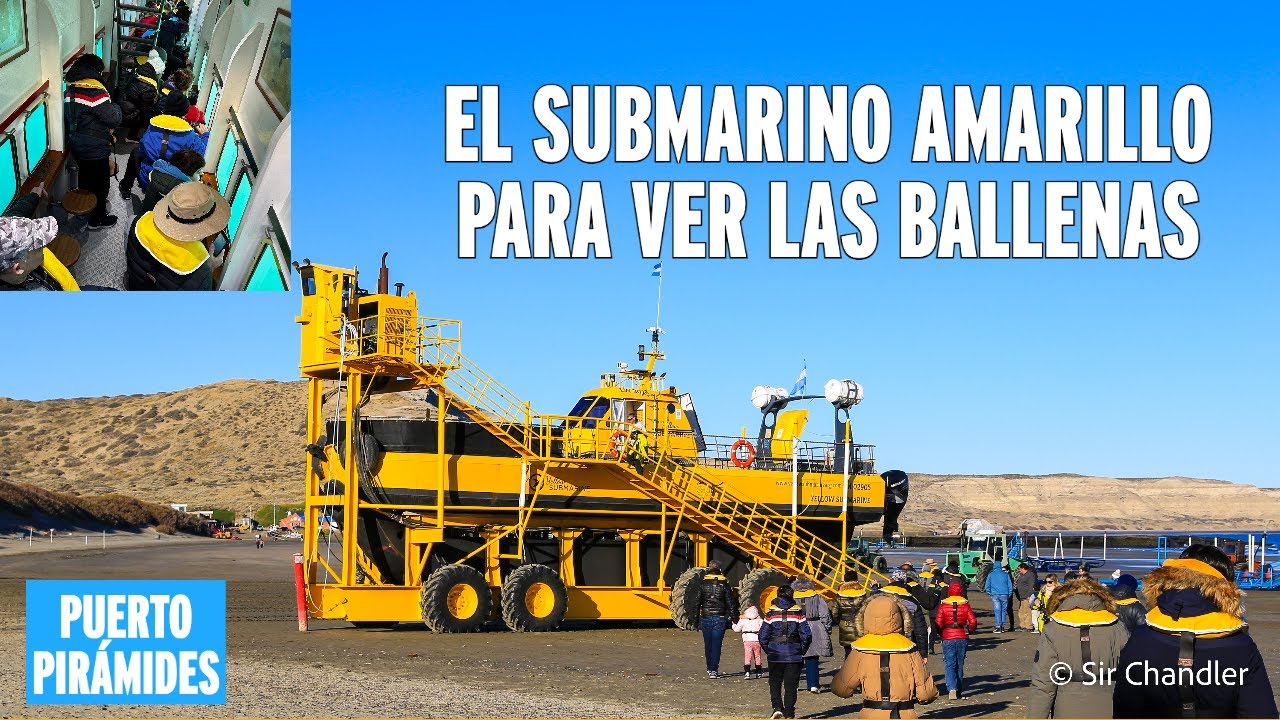 EL SUBMARINO AMARILLO PARA VER LAS BALLENAS 🐳 EN PENÍNSULA VALDES 🇦🇷