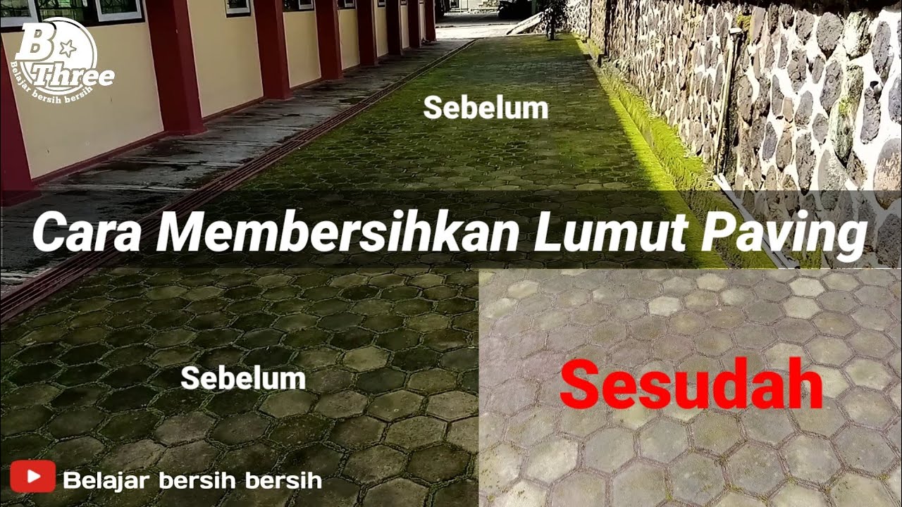 Cara membersihkan lumut paving dengan cepat