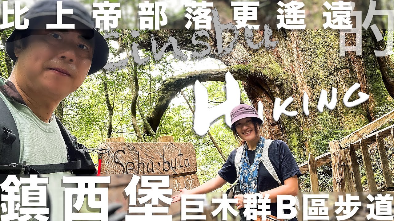 【傑西＆凱莉去哪裡】探索比上帝部落更遠的秘境！鎮西堡神木步道B線｜巨木群探險：15棵神木全解析｜[日文字幕]